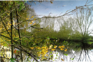 Rekonstrukce rybníku ve Střížově